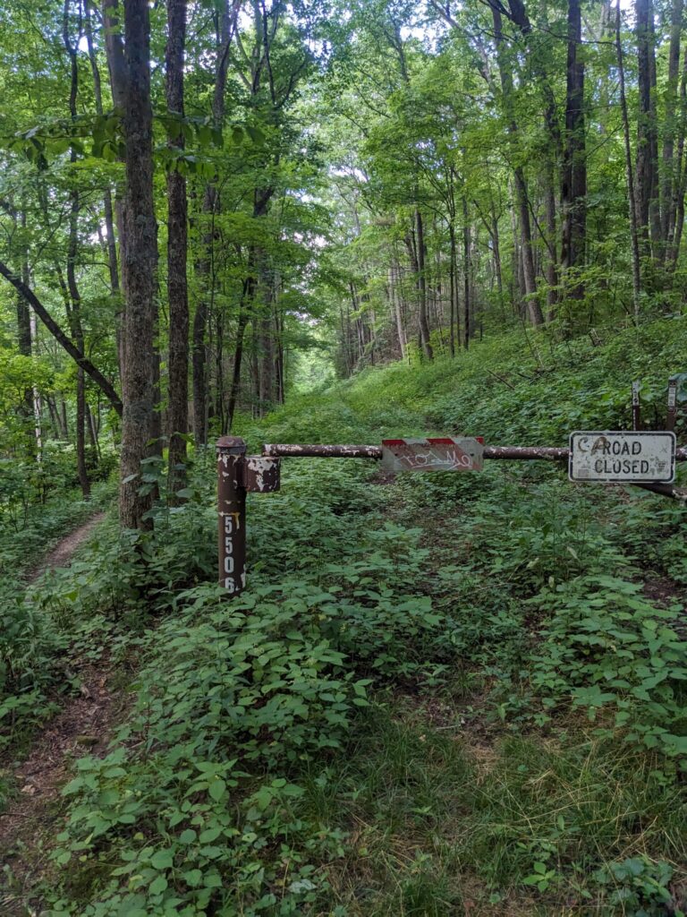 Closed road sign and gate across the overgrown road that is the Devil's fork trail.