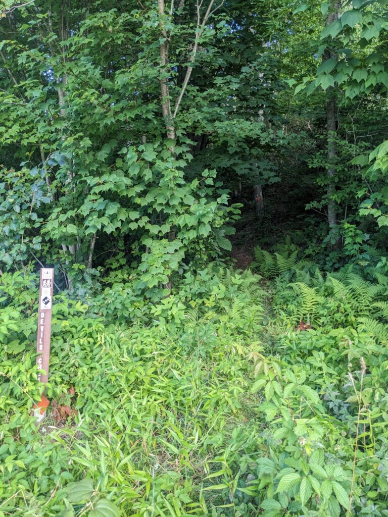 Devil's fork trail sign and trail leaves road